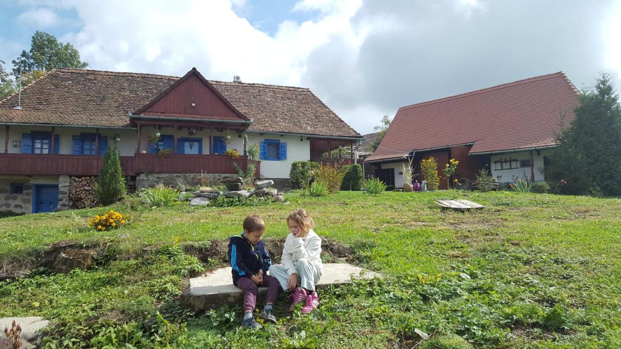 Siklód. Csaba vendégház  Exterior foto